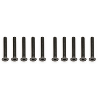 M3 X 22MM FHCS