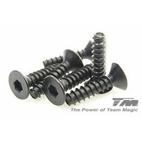 3x12mm Steel F.H. Self-Tapping Screw (6)