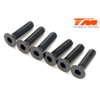 3.5x14mm Steel FH Screw (6)