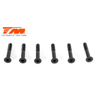 3.5x18mm Steel FH Screw (6)