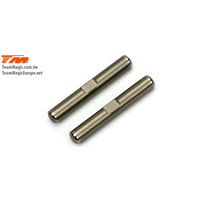 E4J Rear Lower Outer Hinge Pin (2)