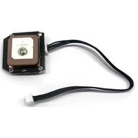 GPS Module